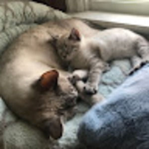 Meet your Posher, Cayla